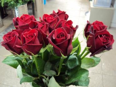 赤いバラといえば「サムライ」｜「花茂」　（愛知県みよし市の花キューピット加盟店 花屋）のブログ