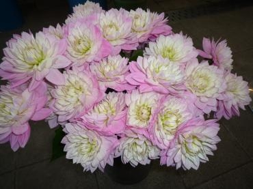 あけましておめでとうございます｜「花茂」　（愛知県みよし市の花キューピット加盟店 花屋）のブログ