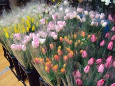 まるでお花畑の花束たち｜「花茂」　（愛知県みよし市の花キューピット加盟店 花屋）のブログ